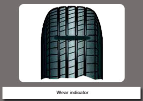Wear indicator