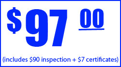 $80 brake lamp inspection