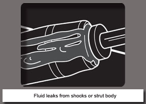 Fluid leaks from shocks or strut body